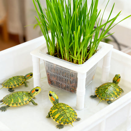 Aquarium Hydroponic Plant Basket Fish Tank Planter Holder Adjustable Legs