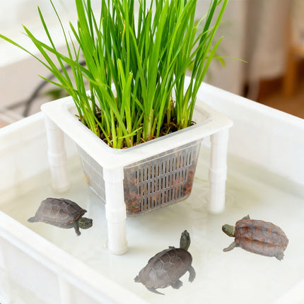 Aquarium Hydroponic Plant Basket Fish Tank Planter Holder Adjustable Legs