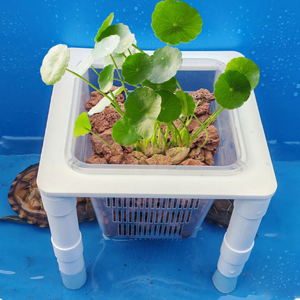 Aquarium Hydroponic Plant Basket Fish Tank Planter Holder Adjustable Legs