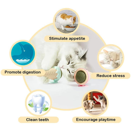 Ice Cream Catnip Balls Teeth Cleaning Chew Toy for Cats Interactive Pet Toys