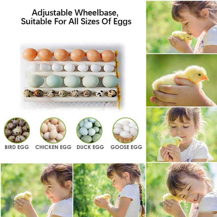 24 Egg Incubator Auto Turning Digital Temp Humidity Control for Chicken Duck