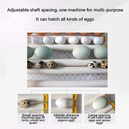 24 Egg Incubator Auto Turning Digital Temp Humidity Control for Chicken Duck