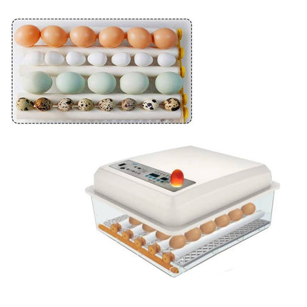 24 Egg Incubator Auto Turning Digital Temp Humidity Control for Chicken Duck