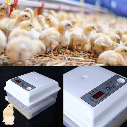 24 Egg Incubator Auto Turning Digital Temp Humidity Control for Chicken Duck