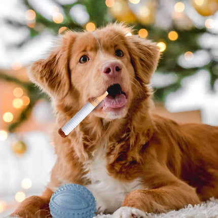 Interactive Giggle Dog Toys for Small and Large Dogs Fun Durable Pet Chew Toys