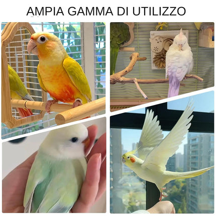 Interactive Bird Seesaw for Small Medium Birds Cage Toy Training Play Equipment