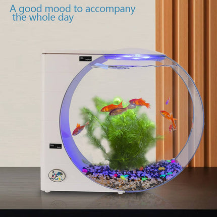 Round Jellyfish Fish Tank 10L Desktop Aquarium with LED Colour Lights