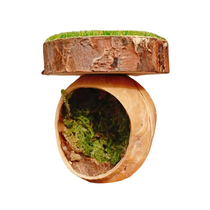 Jumping Spider Shelter Cave Safe Ventilated for Pet Spider Habitat Supplies Use