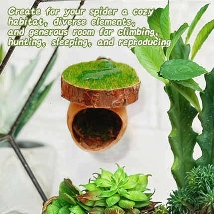Jumping Spider Shelter Cave Safe Ventilated for Pet Spider Habitat Supplies Use