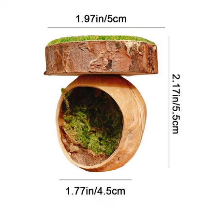 Jumping Spider Shelter Cave Safe Ventilated for Pet Spider Habitat Supplies Use