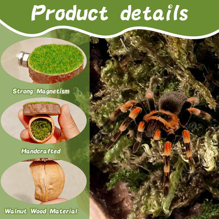 Jumping Spider Shelter Cave Safe Ventilated for Pet Spider Habitat Supplies Use