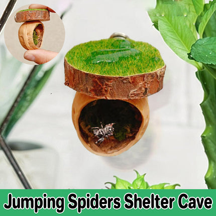 Jumping Spider Shelter Cave Safe Ventilated for Pet Spider Habitat Supplies Use