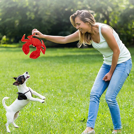 Pet Dog Toys Interactive Plush Dog Toys Durable for Puppy Small Dogs Bite Play