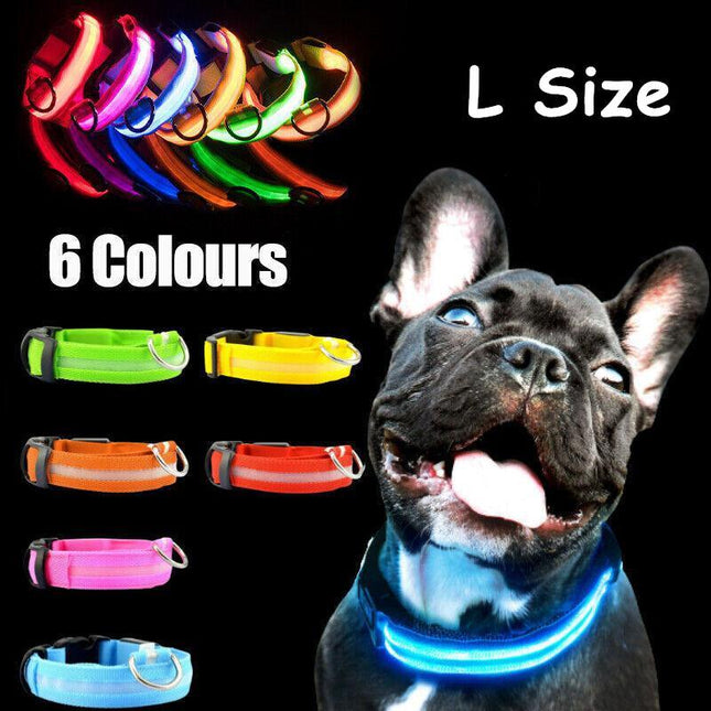 L Size Usb Rechargeable Led Dog Collar Nylon Glow Flashing Light Up Safety - Aimall
