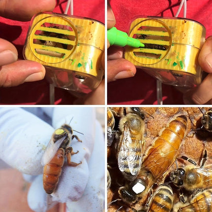 Beekeeping Queen Marker Bottle King Catcher Cage Bee Marking Tool Equipment