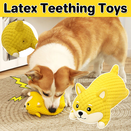 Latex Dog Teething Toy Non-Toxic Safe Sound Design for Puppy Teething Training