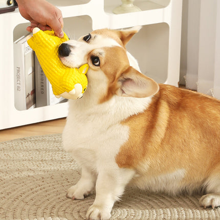 Latex Dog Teething Toy Non-Toxic Safe Sound Design for Puppy Teething Training