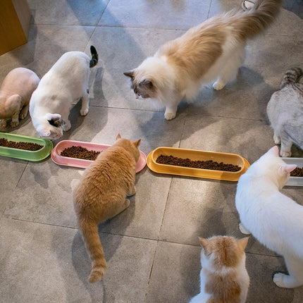 Extended Cat Bowl Pet Bowl Feeding Basin Drinking Water Cat Bowl for Cats