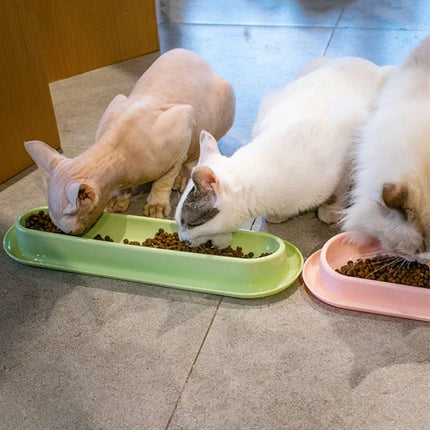 Extended Cat Bowl Pet Bowl Feeding Basin Drinking Water Cat Bowl for Cats