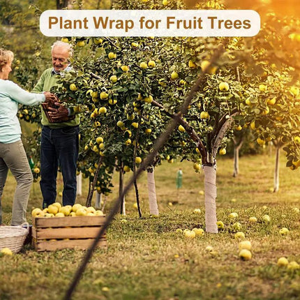 Solid Coloured Linen Wrap 2 Rolls Winter Tree Protection Burlap Garden Cover