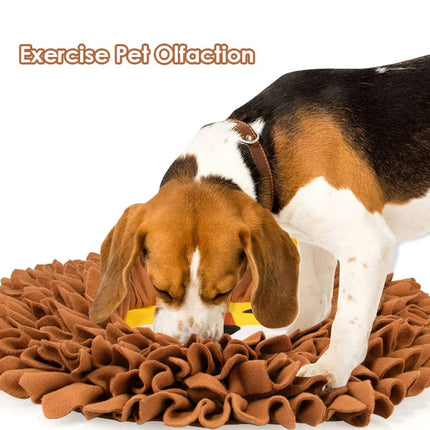 Lion Head Snuffle Mat Pet Slow Feeder Sniff Training Anti Slip for Dog Cat 55cm