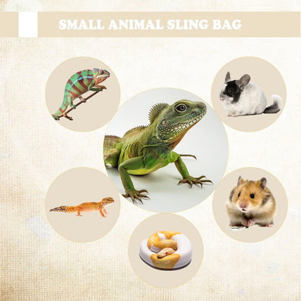 Pet Carrier Backpack Travel Bag Portable Hiking Pet Outing Bag For Small Animals