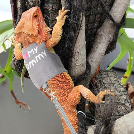 Lizard Walking Traction Rope Adjustable Mesh Vest Outdoor Climbing Pet Harness