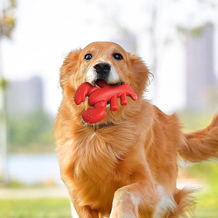 Dog Chew Toy Lobster Shape Teething Stick Durable Bite Toy for Puppy Pet Dental
