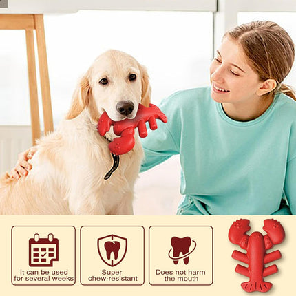 Dog Chew Toy Lobster Shape Teething Stick Durable Bite Toy for Puppy Pet Dental