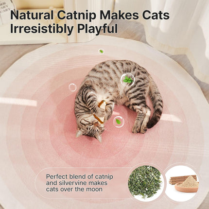 Cat Chew Toys 3PCS Soft Biting Toys Teeth Grinding Set For Kitten Training