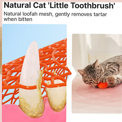 Cat Chew Toys 3PCS Soft Biting Toys Teeth Grinding Set For Kitten Training
