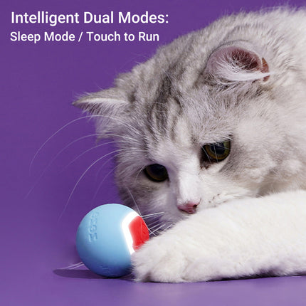 Love Rolling Ball Cat Chew Teething Play Toy For Kitten Interactive Play Use