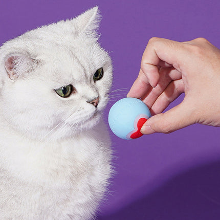 Love Rolling Ball Cat Chew Teething Play Toy For Kitten Interactive Play Use