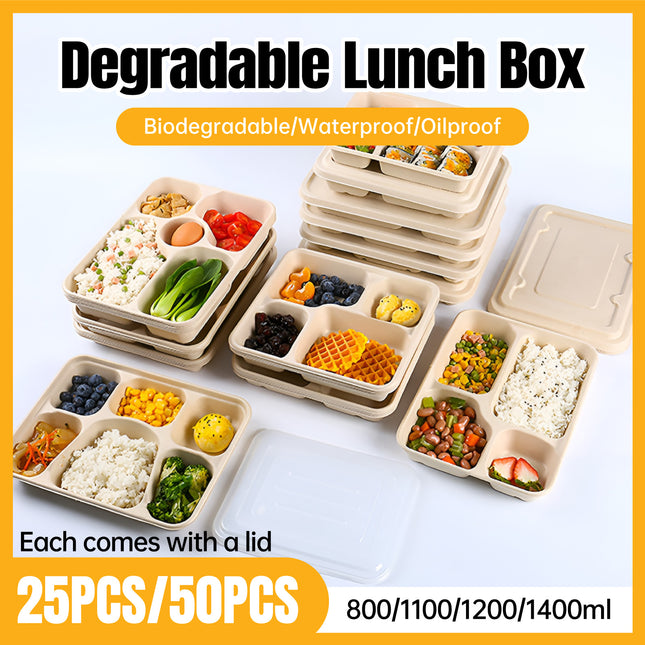 25/50pcs Biodegradable Lunch Box Microwaveable Tray with Compartment Paper Lid