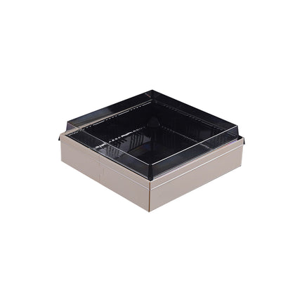 20 PCS Disposable Sushi Bento Lunch Boxes Takeaway Containers Food Grade Storage