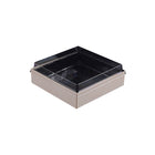 20 PCS Disposable Sushi Bento Lunch Boxes Takeaway Containers Food Grade Storage