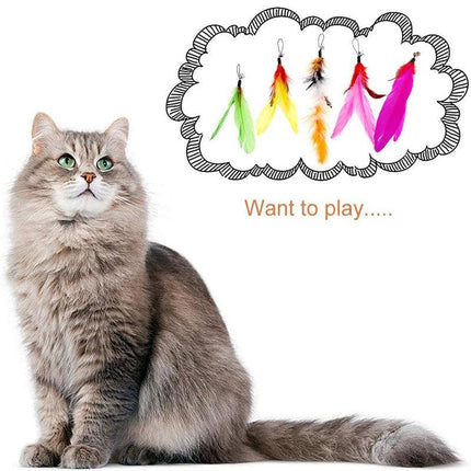 12PCS Cat Feather Teaser Wand Set Interactive Toy for Kittens and Cats Gift