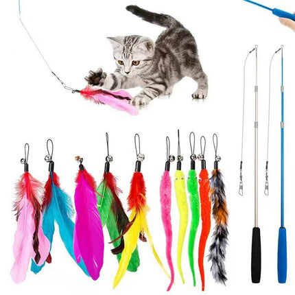12PCS Cat Feather Teaser Wand Set Interactive Toy for Kittens and Cats Gift