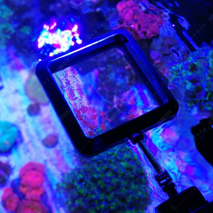 VASTOCEAN Magnetic Aquarium Feeding Ring Floating