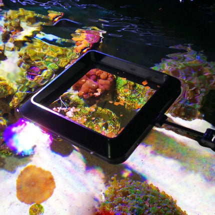 VASTOCEAN Magnetic Aquarium Feeding Ring Floating