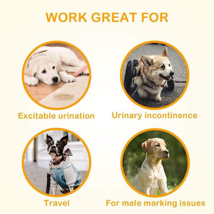 Male Dog Diapers Physiological Pants for Dogs Leakproof Diaper Pants Male Pets