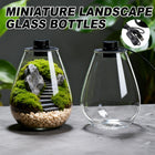 Miniature Landscape Eco Glass Bottle with Lights for Desktop Living Room Decor