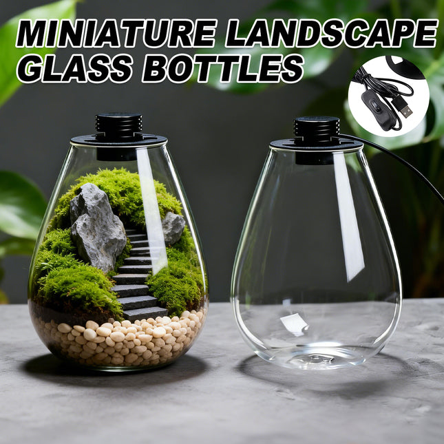 Miniature Landscape Eco Glass Bottle with Lights for Desktop Living Room Decor