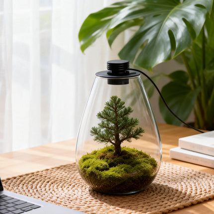 Miniature Landscape Eco Glass Bottle with Lights for Desktop Living Room Decor