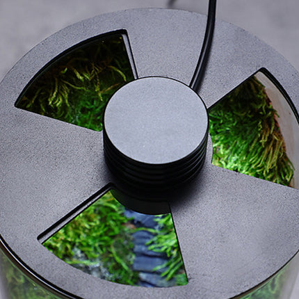 Miniature Landscape Eco Glass Bottle with Lights for Desktop Living Room Decor