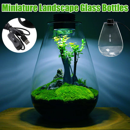 Miniature Landscape Eco Glass Bottle with Lights for Desktop Living Room Decor