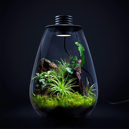 Miniature Landscape Eco Glass Bottle with Lights for Desktop Living Room Decor