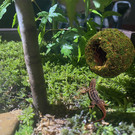 Hanging Bird Nest Moss Shelter Natural Hideout Nesting Hut Cage Decoration