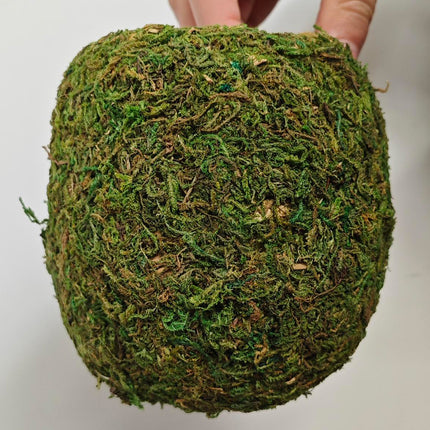 Hanging Bird Nest Moss Shelter Natural Hideout Nesting Hut Cage Decoration