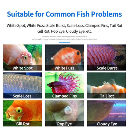Aquarium Multi Mineral Salt Tablets 2 Pack 500g